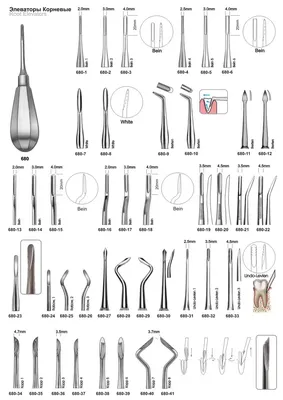 Элеватор 680 | Купить стоматологические товары недорого в интернет-магазине  Dental First