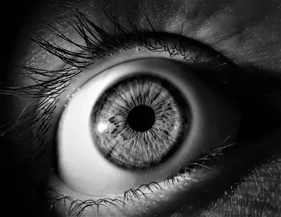 Глаза Страшно Страх - Бесплатное фото на Pixabay - Pixabay