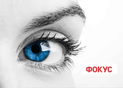 удивление и страх, эмоции, портрет девочки с большими глазами на голубом  фоне Stock Photo | Adobe Stock