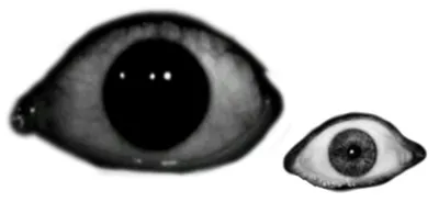 Страшные глаза красного цвета хеллоуина изолированные над чернотой  Иллюстрация штока - иллюстрации насчитывающей икона, анимизма: 44104065