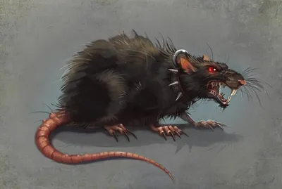 Крысы на страшной пакостной головной белокурой кукле Стоковое Изображение -  изображение насчитывающей ужас, антиквариаты: 82811279