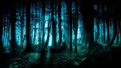 страшный лес с парой страшных глаз, выглядывающих из древо-пустышки.  Стоковое Фото - изображение насчитывающей вал, темно: 215965032