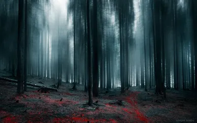 Тёмный страшный лес, пустой, но с…» — создано в Шедевруме