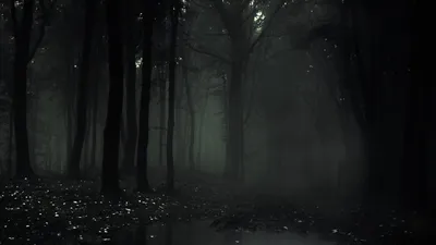 Страшный лес ночью - фото и картинки: 31 штук