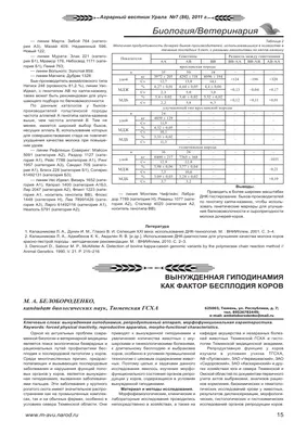 МОКИЙ ПЕТ? ВИСУШІТЬ ЙОГО ЦИМ ПОРОШКОМ! - Vroda