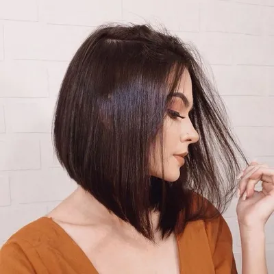 Модные стрижки Каре 2021-2022: все виды и 100 фото | Short brown hair,  Thick hair styles, Cute hairstyles for short hair