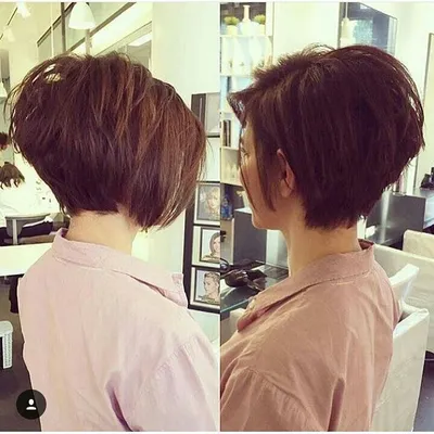Pin by Violaa on hair | Thick hair styles, Bob hairstyles for fine hair,  Short layered haircuts