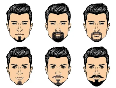 Виды и формы бороды и усов: как сделать бороду и усы для разных типов лица