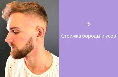 Профессиональная стрижка усов и бороды в Санкт-Петербурге: цены, отзывы и  адреса