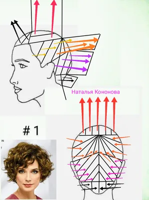 Как выглядит стрижка \"круглый каскад\". Фото и схемы выполнения. Часть 120 |  Наталья Кононова | Дзен