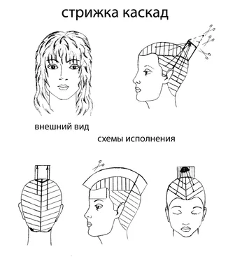 Варвара Пригожина | Стрижка каскад, Стрижки слоями для волос средней длины,  Стрижки для густых волос