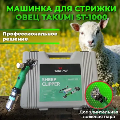 Машинка для стрижки овец EWE 3000 650 Вт купить в интернет-магазине по цене  16 900 руб.