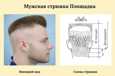 Мужская стрижка | Flat top haircut, Cool haircuts, Summer haircuts