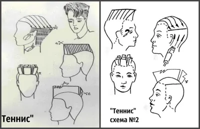 Схема выполнения стрижки теннис | Мужские стрижки, Стрижка, Мужские  прически для длинных волос