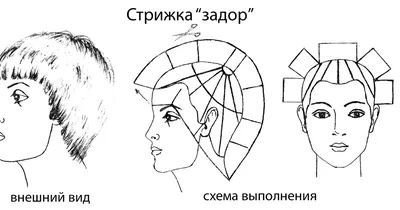 Рекомендуется для волос любого типа и длины. Форма стрижки : короткая,  ступенчатая. Инструменты : прямые и филировочные … | Стрижка, Мужские  стрижки, Парикмахер