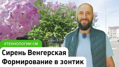 На градусе. Яна Венгерская хочет переписать судьбу (видео) | Север-Пресс