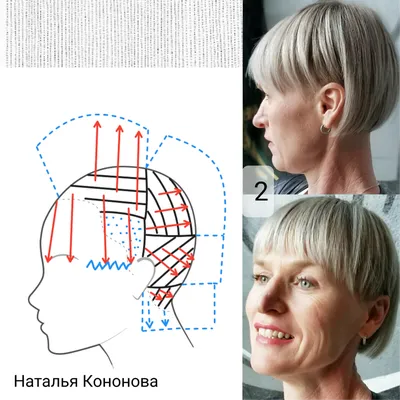 Я выбрала стрижки для женщин с крупными чертами лица и узким овалом.  Нарисовала схемы. Часть 143 | Наталья Кононова | Дзен