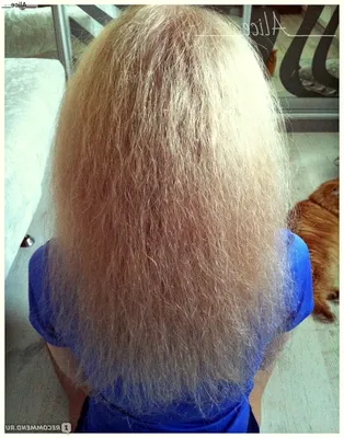 Женская стрижка кудрявые волосы, урок для парикмахеров - YouTube
