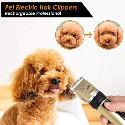 Купить машинку для стрижки животных Xiaomi Pawbby Pet Hair White в Москве |  Xiaomi-on