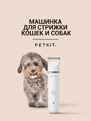 Машинка для стрижки собак и кошек Триммер для животных PETKIT - купить с  доставкой по выгодным ценам в интернет-магазине OZON (249057744)