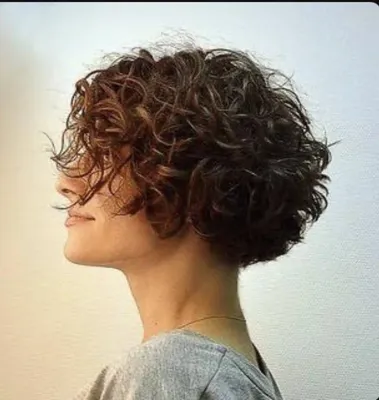 Яку зачіску зробити для кучерявого волосся - що таке вовча стрижка і чому  її обирають зірки - фото | OBOZ.UA