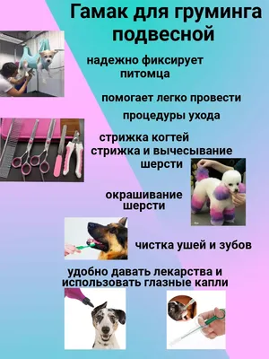 Модные стрижки для собак - BarberPet