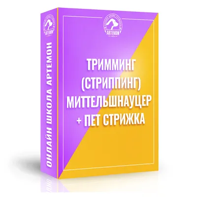 Порода собак Миттельшнауцер