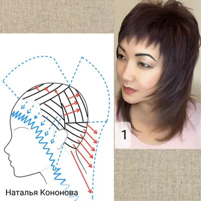 Схема Стрижки Канадка Фото Пошагово