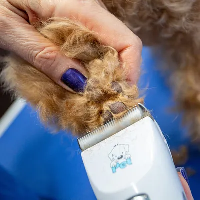 Машинка для стрижки собак Oro-Med Oro-Pet Clipper Max - 1a.lt