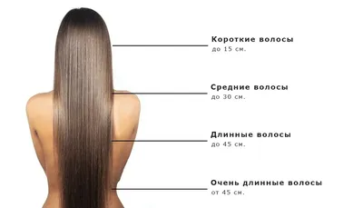 Модные женские стрижки 2024 - прически на короткие, средние, длинные волосы