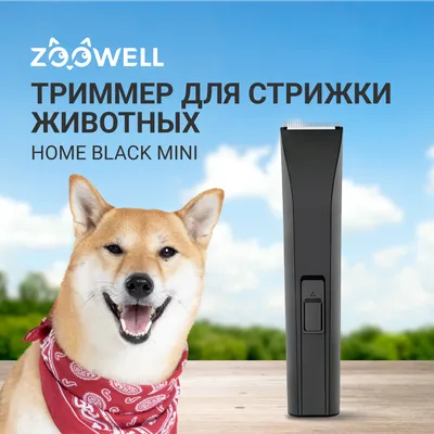 Купить триммер для стрижки животных ZooWell Care Black mini с насадкой,  черный, 3-6 мм, цены на Мегамаркет | Артикул: 600012764509