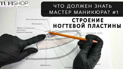 Ногти