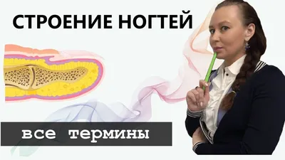 Вросший ноготь - причины появления, симптомы заболевания, диагностика и  способы лечения