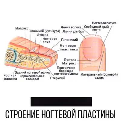 Лечебный маникюр: когда обычного ухода за ногтями недостаточно