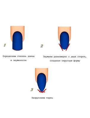 PODOLOG WORLD - 🤔Вспомним строение ногтя: . ✓Эпонихий (кутикула) - это  плотный кожистый валик, являющийся тканевым продолжением матрикса, который  окружает ногтевую пластинку в нижней части ногтя. . ✓Птеригий - тонкий слой  кутикулы,