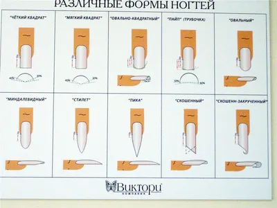 Правильный опил ногтя | Как сделать идеальный опил ногтя разной формы |  Советы и Фото