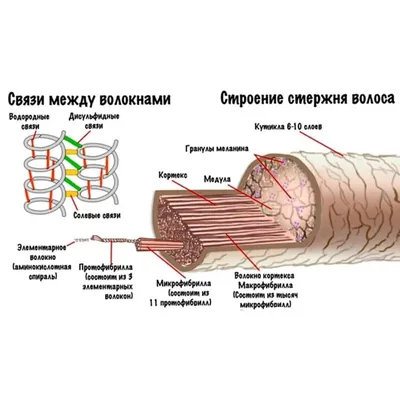 Объёмный курс лэшмейкера - купить книгу в интернет магазине, автор Алёна  Швец - Ridero