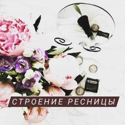 Строение ресницы ч4 #ресницыобучение #мастерпоресницам | TikTok