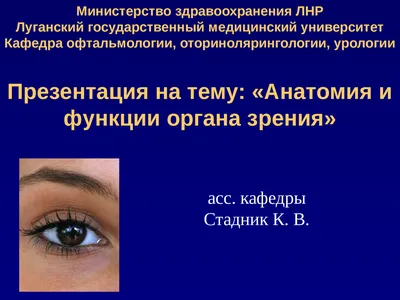 Наращивание ресниц - 🌸 15 марта 🌸 КУРС 2 в 1, ЛАМИНИРОВАНИЕ +БОТОКС  РЕСНИЧЕК📝📝КУРС ИНДИВИДУАЛЬНЫЙ 1 ДЕНЬ🌸 теоретическая часть 📍 строение  ресниц. 📍Что такое ламинирование ресниц 📍Алгоритм проведения процедуры  📍разбор инструментов и