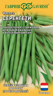 Семена фасоли спаржевая Палома купить в Украине | Веснодар