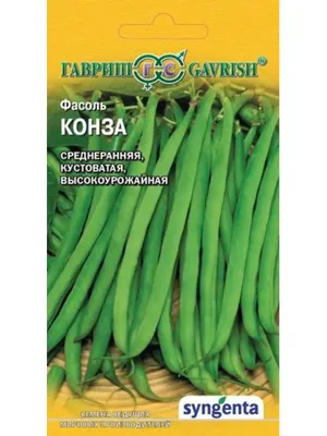 Семена Фасоль овощная, спаржевая Белая Иранская, 5 г (2 шт) - РусЭкспресс