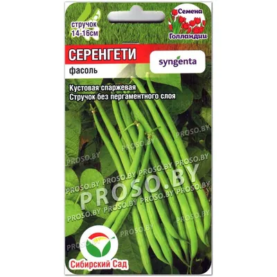 Семена Фасоль спаржевая Сакса без волокна 615 8 г - купить в Москве, цены  на Мегамаркет