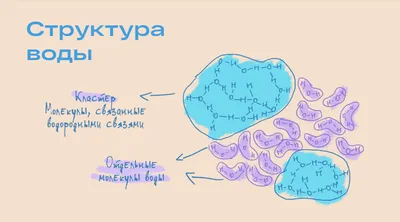 Казахстанцы пишут о том, что наши мысли влияют на структуру воды. Правда  или ложь? | Inbusiness.kz