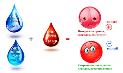 Что такое идеальная вода и как найти ее в современном мире | re-feel