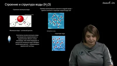 Наука подтвердила чудо крещенской воды | Русский дом