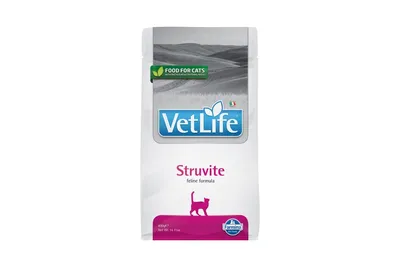 Лечебный корм Vet Life Cat Struvite корм для кошек при струвитах – Корм для  кошек