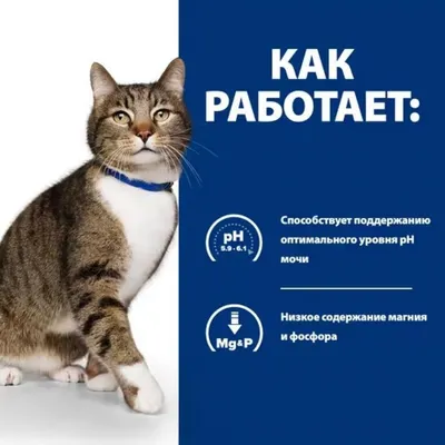 Корм для собак ROYAL CANIN Urinary S/O Small Doг USD 20 при мочекаменной  болезни струвиты оксалаты маленьких пород 1.5кг