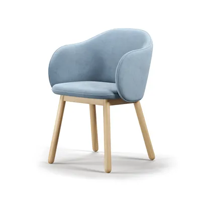 Мягкий стул с подлокотником IS Chambery-2 Arm Chair купить в Москве - цены  от магазина мебели InterioDream