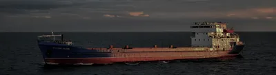 Морской сухогрузный флот