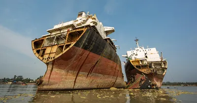 Купить судно или построить с нуля? Как живет вторичный рынок на фоне  судостроения и санкций — Медиапалуба